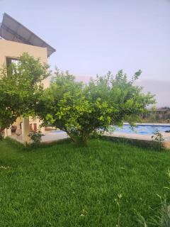 Ferme Khadija - 3