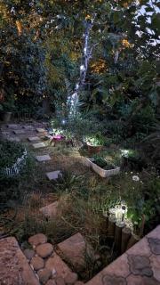An Istanbul tale, an Istanbul dream, garden house - 8