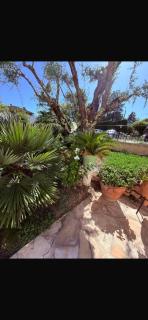 Le Mas des Amandiers - 3