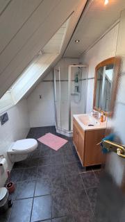 Ferienhaus in Lambsheim- "Familien- und hundefreundlich", PlayStation-FIFA - 5