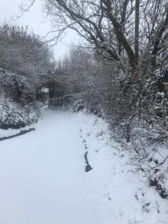 Cefn Farm - 2