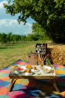 Cascina Piandamiane, Dimore di Langa - suite Elvira, country house nella natura delle Langhe - 4