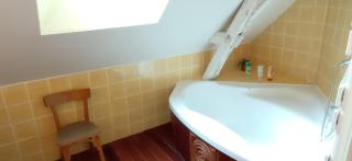 Gîte 3 chambres dans Longère aux Rosiers-sur-Loire - 2