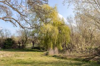 Spacious Riverside View Bungalow - 6