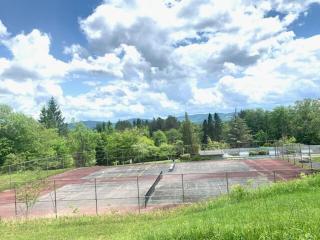 Leaf Peeper's - HUGE deck, pizza oven, Pac-man! - 1
