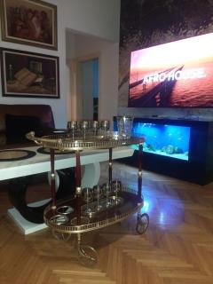 Stylish Queen Downtown - Podgorica - 5