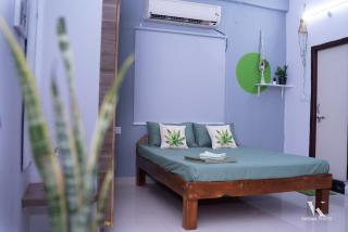 Golden Nest - 7