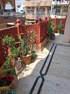 Jaipur Gypsy-Foodie paradise near Birla Mandir - 7