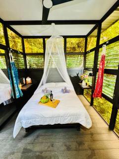 Jungle Loft - 5