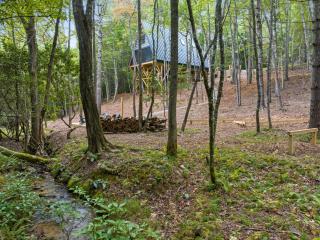 15 min to Town • Creekside • Hot Tub • Fire Pit - 6