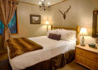 LOGE Alta Crystal - 3