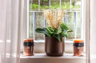 Home Studio Luxury - 4