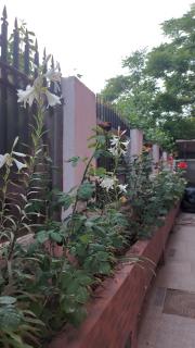 Apartament Flori - 3
