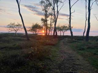 Near beach summer house in Farhultsbaden - 1