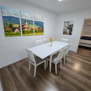 House with garden near Vienna & airport - 7