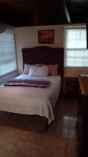 Beautiful home with pool - Mandeville - 5