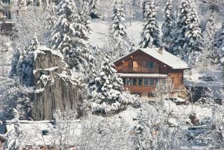 Three-star apartment in a family chalet - 0
