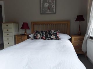 FOREST VIEW Woodland lodge - 9