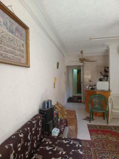 العجمى شاطئ النخيل القوات المسلحه - 8