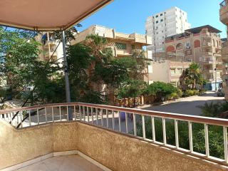 العجمى شاطئ النخيل القوات المسلحه - 6