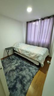 Departamento 4 personas, sector Peñuelas - 8