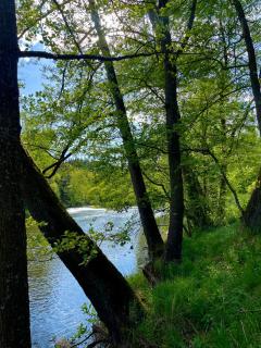 Krušnoglamp - Tinyhouse u Řeky - 6