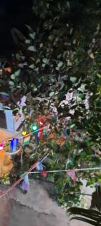 Funky CoCo Bar - 2