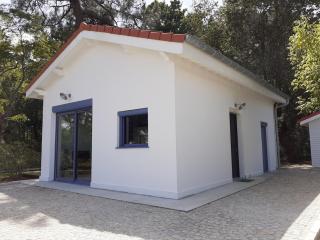 La Maison Squirrel - 5