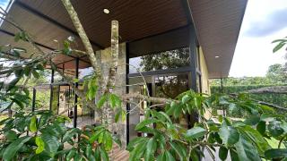 Tree of Heaven Lodge - 3