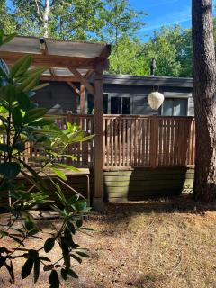 RustOord Chalet Ontspannen op de Veluwe - 5