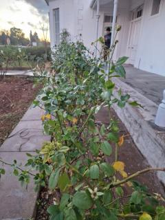 Karoocible - 6