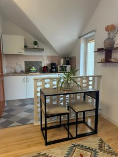 Cozy 1-room apartment - 1