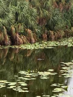 Bed and Breakfast in North Naples - 9