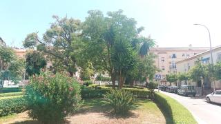 Golden Apartment - 1