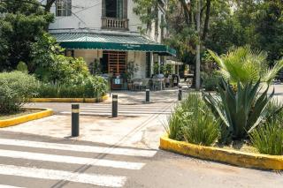 Roma Norte Retreat - CDMX Vibes - 1