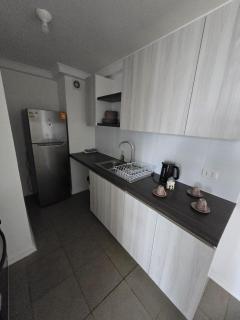 Departamento nuevo, a pasos del faro , mall, rica gastronomía - 3