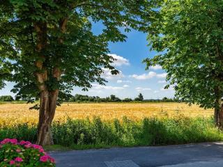 Holiday apartment with 2 bedrooms - 5