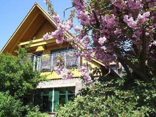 Holiday apartment in Varel with swimming pool - 0