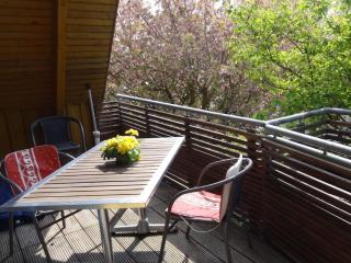Holiday apartment in Varel with swimming pool - 7
