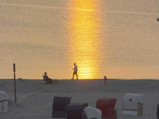 Jackdaw's Nest Geusenweg 3b - 2