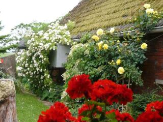 Haus Altendeich - 8