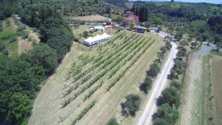Agriturismo Ai Mandrioli - Lastra a Signa - 1