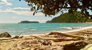 Seaview Sanctuary - stunning sea and bush location - 4