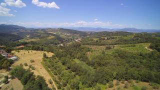 Agriturismo Ai Mandrioli - Lastra a Signa - 2