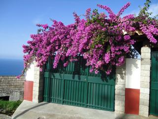 Casa da Rainha - Calheta - 8