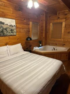 Smoky Haven Cabin - 3