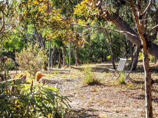 Inji Dreaming - Bushland Retreat near Injidup Beach - 6