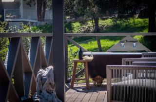 Ngaio Cottage - Cable Bay - 6