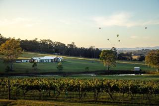 The Breakaway Villas at Molly Morgan Wines - 7