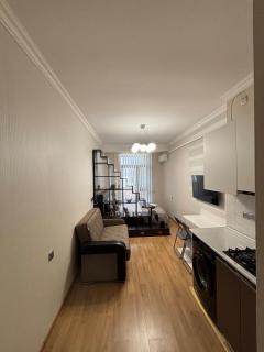 Modern Studio in Central Area near Officers park - 3